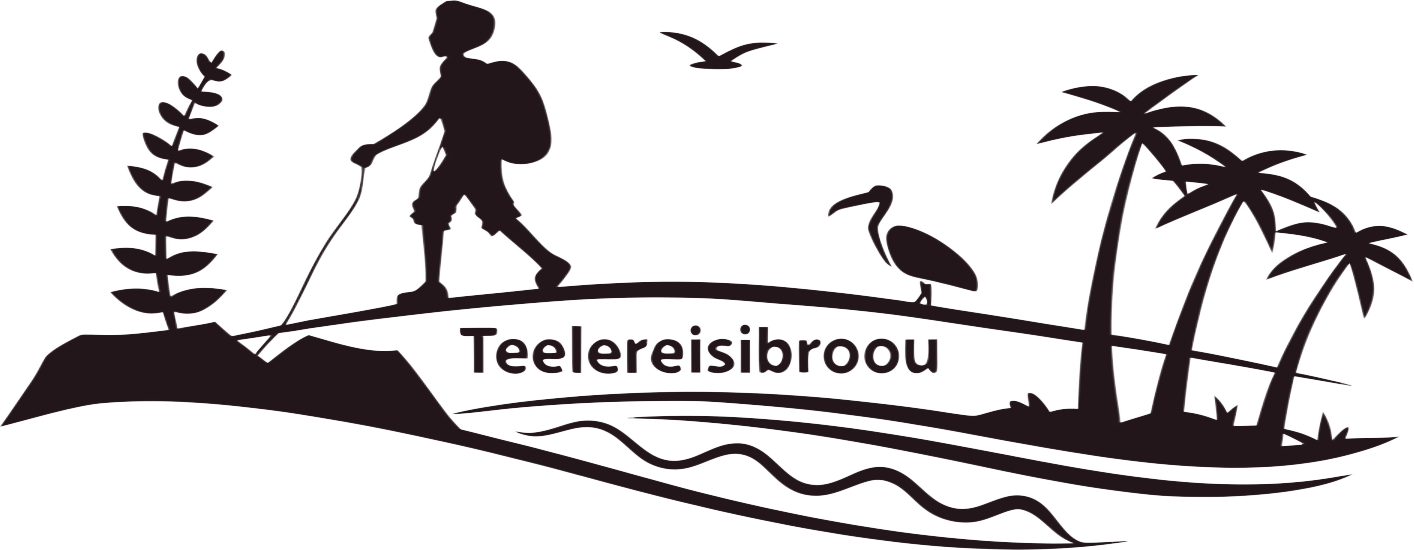 teelereisibrooou.com