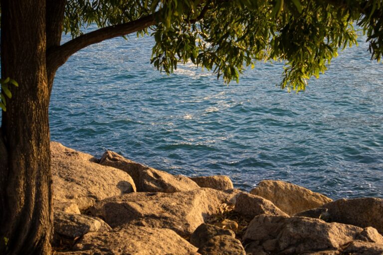 Explore Hidden Gems Around the World with Our Expert Guides