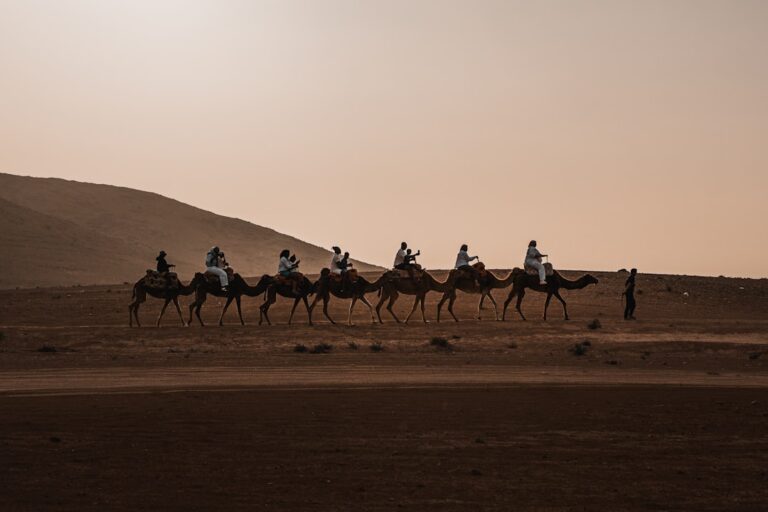 Explore Adventure Tourism: Thrilling Trips Planned by Experts